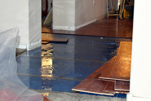 Professional Water Damage Restoration technician working in Spring, TX